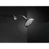 Universal Showering Components 5-Setting Raincan Shower Head