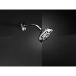 Universal Showering Components 5-Setting Raincan Shower Head