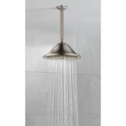 Universal Showering Components Single-Setting Raincan Shower Head