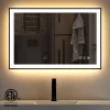 Organnice Black Frame Anti-Fog Dimmable Vanity Bathroom Mirror With Backlit And Front Light